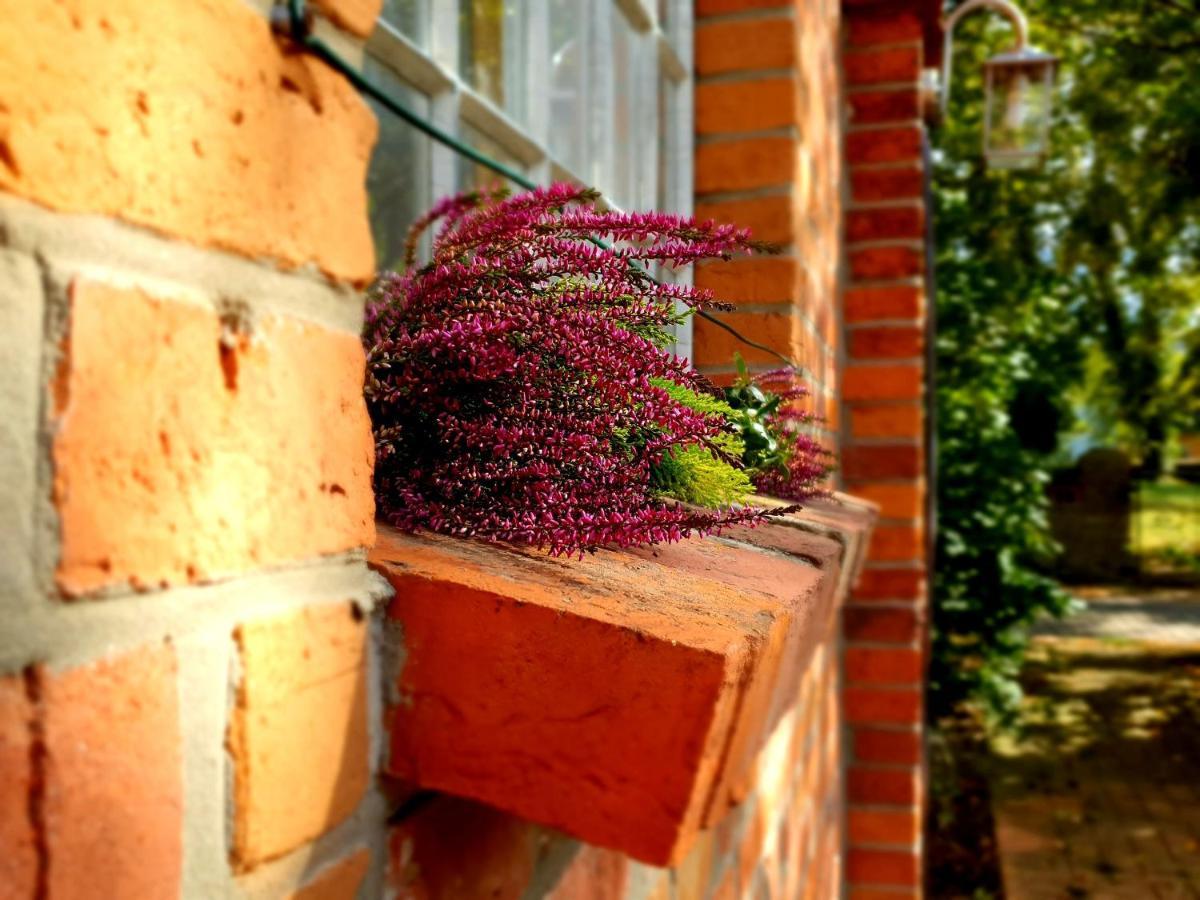 Gross Dratow Schmiede1860 Bed & Breakfast エクステリア 写真